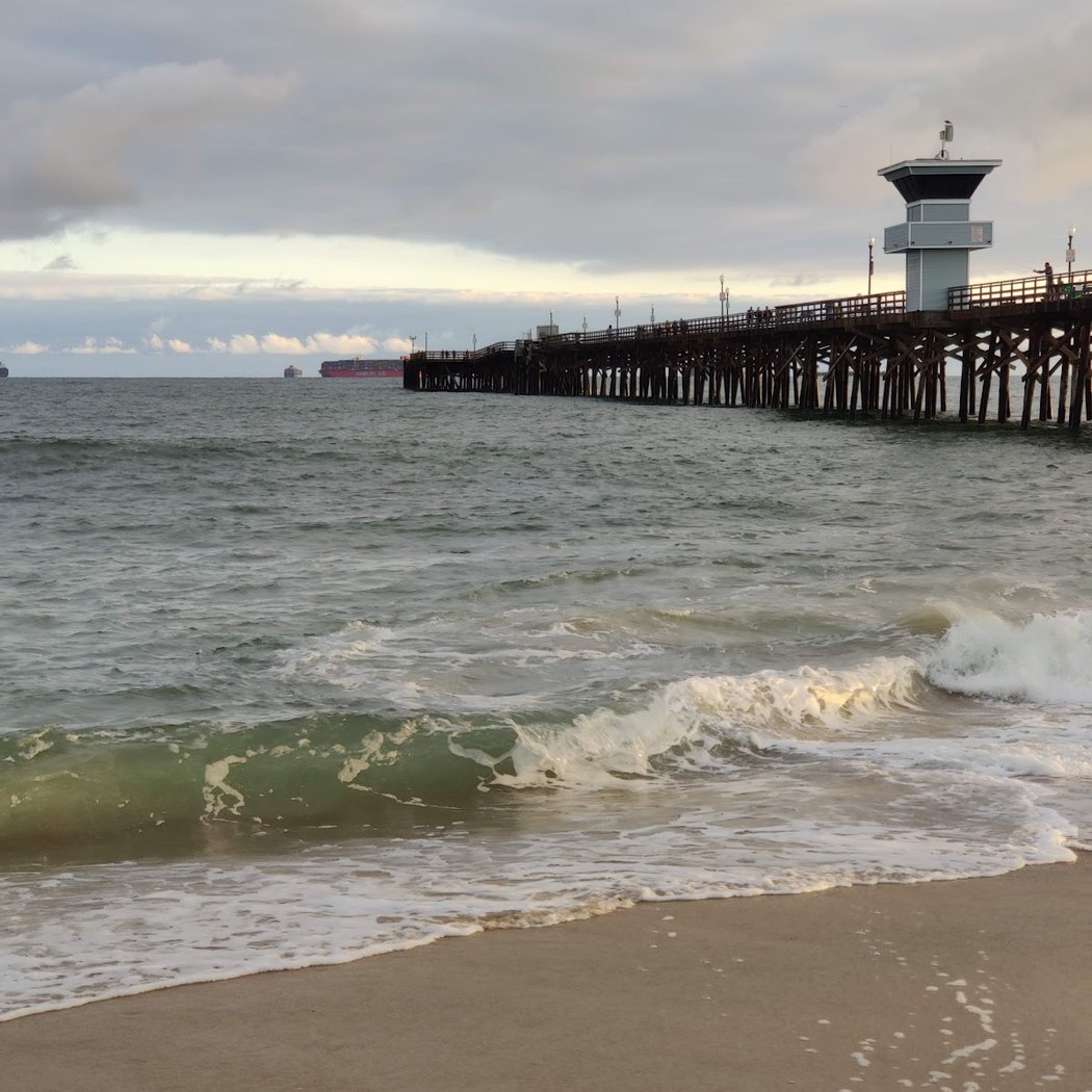 Seal Beach Cleanup 1